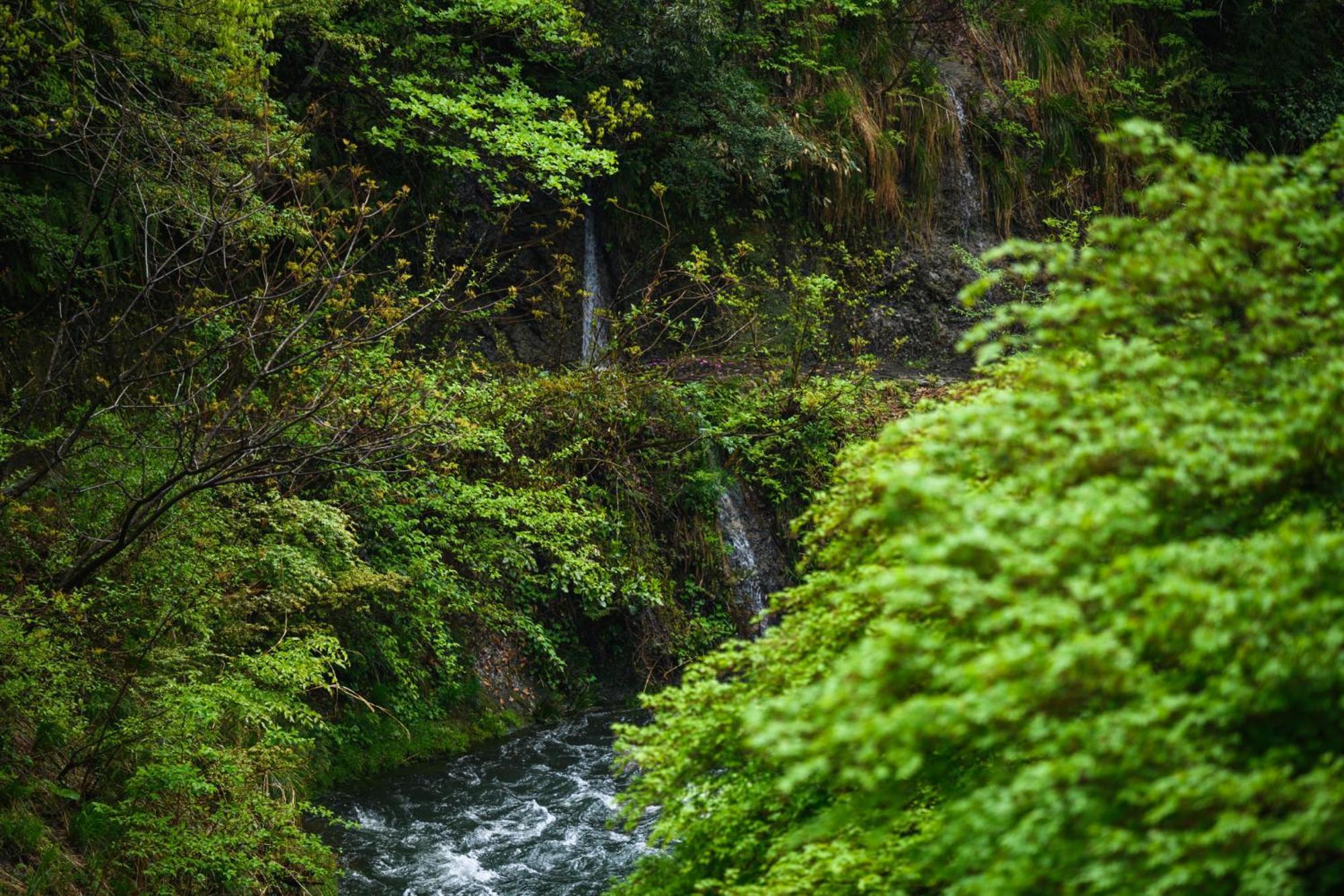 Отель Shirasagiyu Tawaraya Кага Экстерьер фото