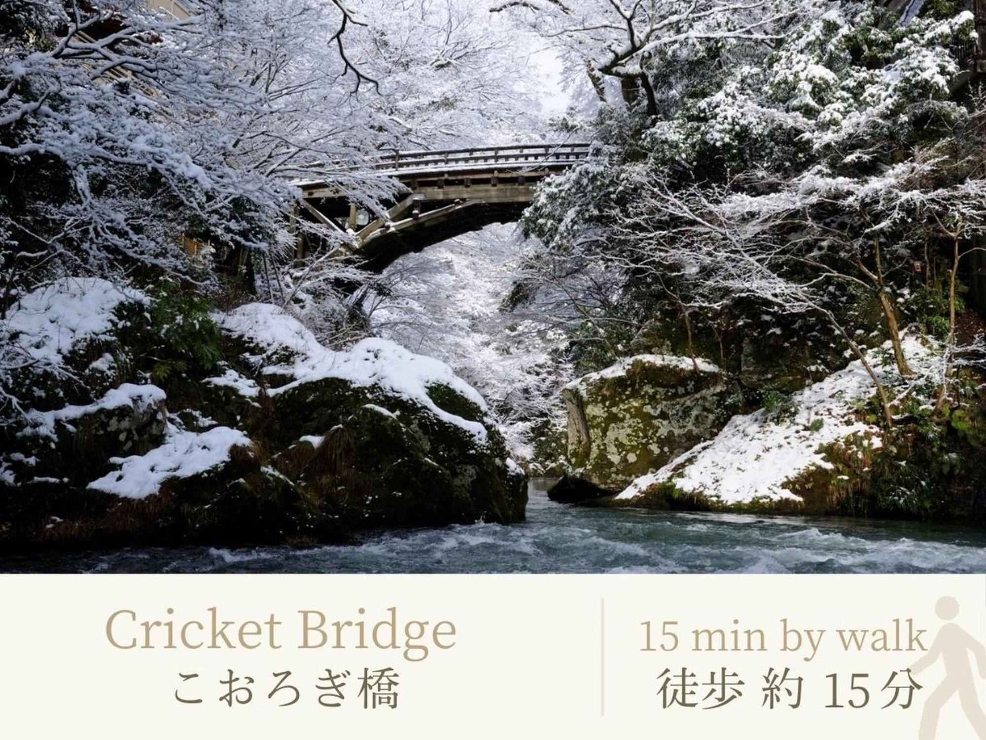Отель Shirasagiyu Tawaraya Кага Экстерьер фото